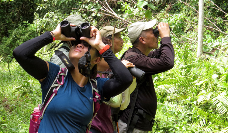 Avitourism: Cambodia to Diversify and Strengthen Tourism Industry