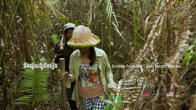 Cinema in Cambodia Diversified