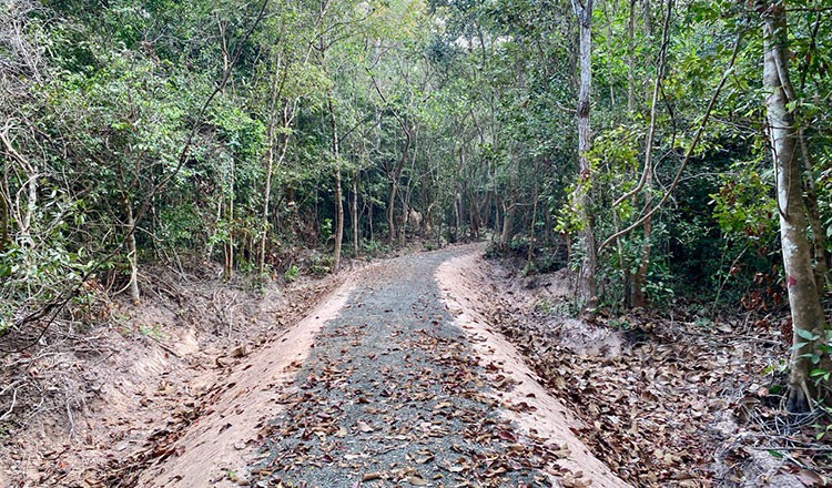 Discovering the Hidden Gems of Siem Reap: A Journey from Botanical Gardens to Ancient Temples