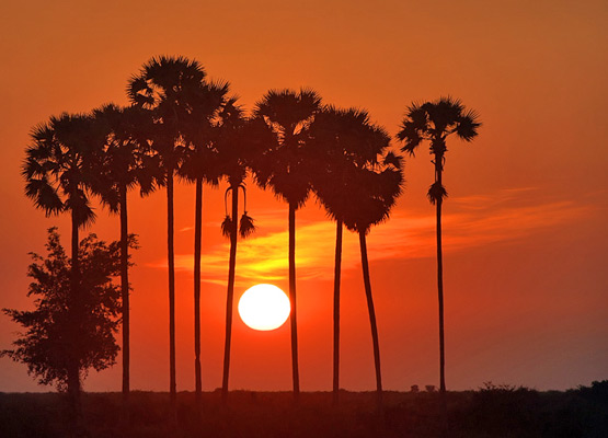 Kampong Cham8