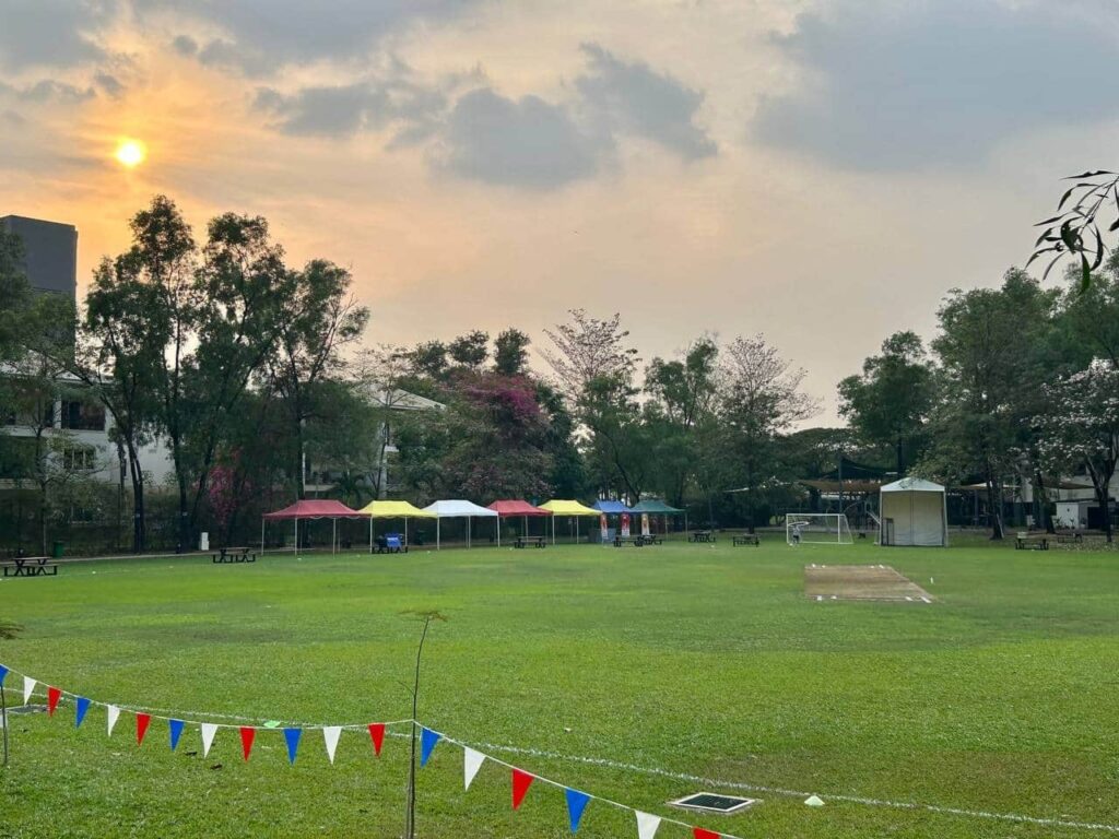 Cricket Day